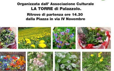 Passeggiata di primavera per conoscere e cucinare le erbe ed i fiori spontanei