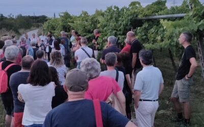 LE NOSTRE COLLINE ILLUMINATE DALLA LUNA