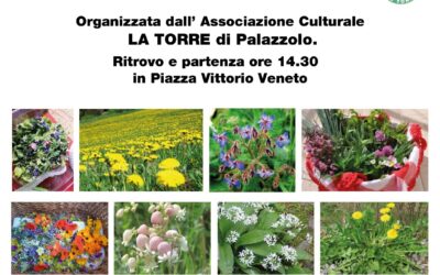 PASSEGGIATA DI PRIMAVERA 16.03.2025